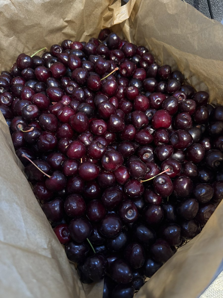 Летом жертамские друзья раскрываются с новых неожиданных и очень приятных граней 💎