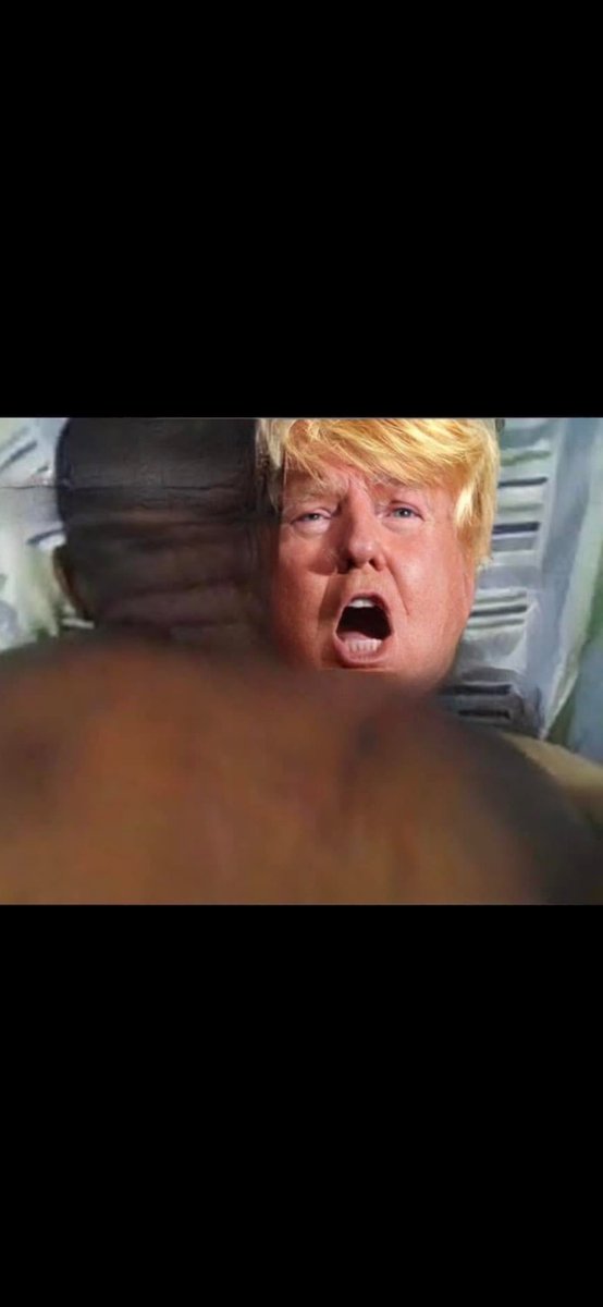 Live and let live tweet media