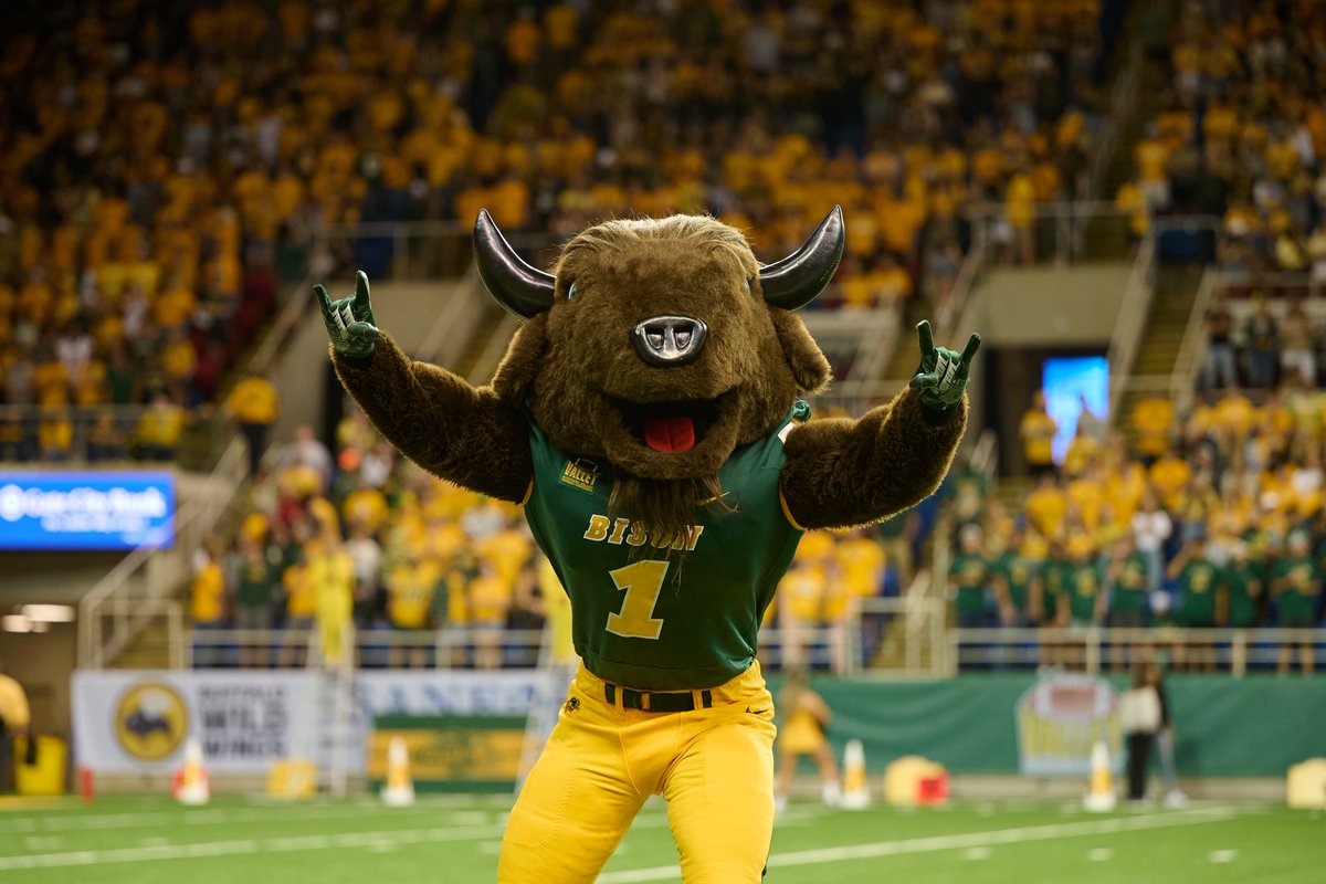 Happy #NationalMascotDay to the one and only Thundar! 💛💚