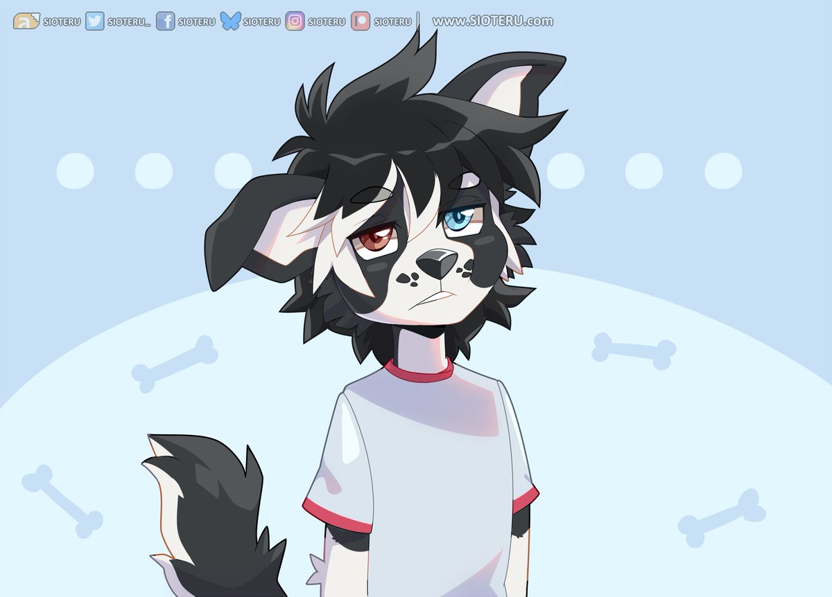 Puppy brain 🐶🦴
