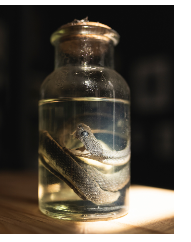 We led a generation down the wrong path of "getting into DF/IR."
dfir.training/blog/is-df-ir-… #DFIR