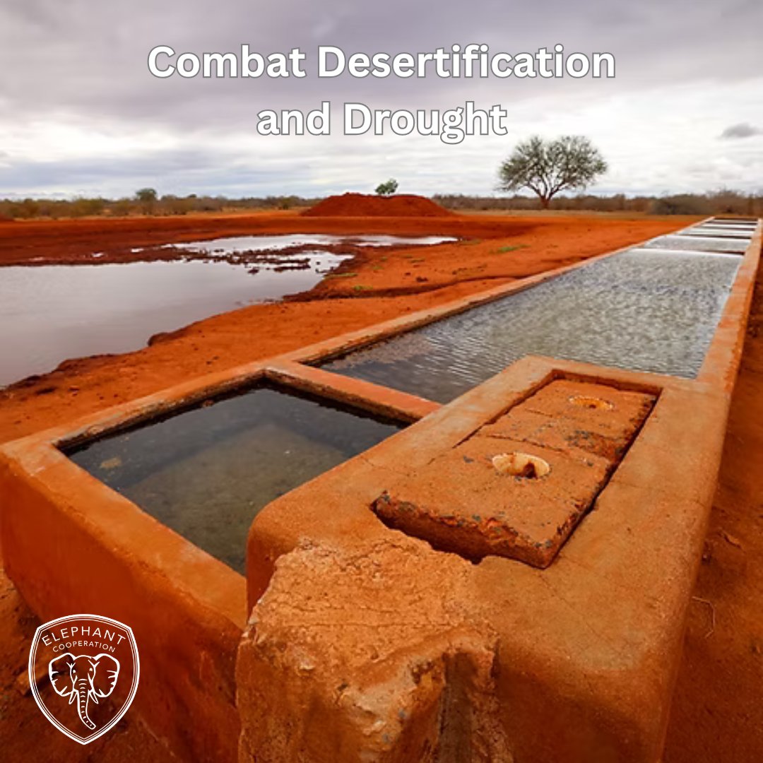 ElephantCoop's tweet image. 🌾 Desertification puts communities and wildlife at risk.
Elephant Cooperation tackles this with clean water, reforestation, and sustainable farming.
Restoring land means restoring life.
#CooperateToCoexist #Elephants #WaterForAfrica #HabitatConservation #CombatDesertification