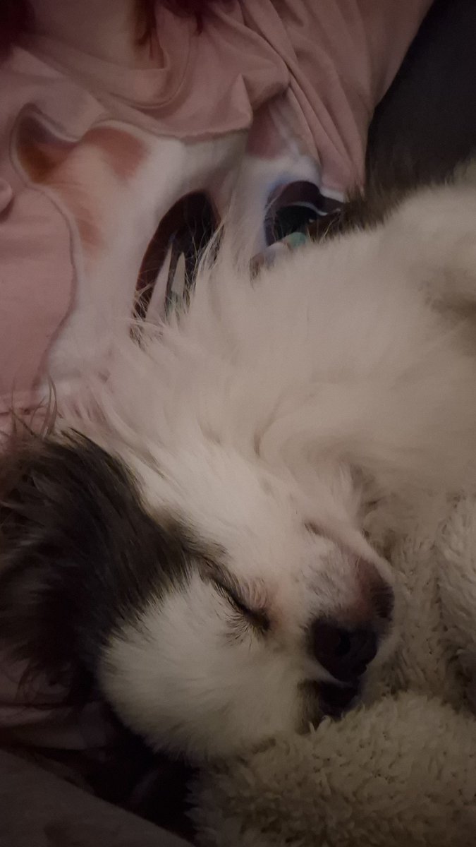 Nattade Alvin, som somnat på mig så jag måste tyvärr väcka honom för att kunna gå och lägga mig själv😅