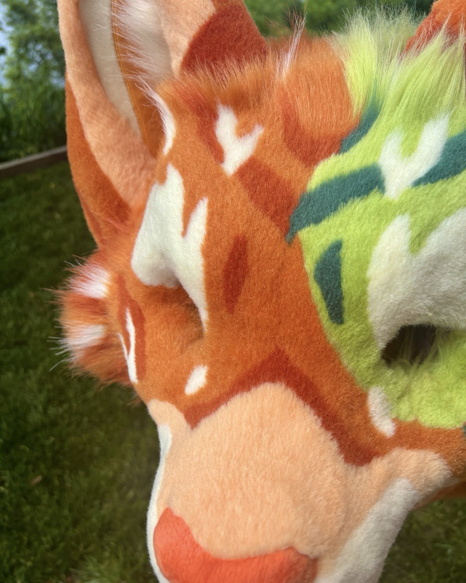 KITTY INCOMING! 🐈
-
This Mossy Tabby is almost ready to find their furever home at Anthrocon!