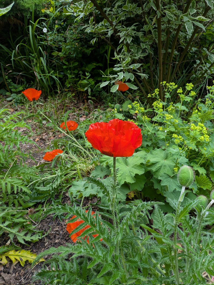 Stephen (@fiftyfifty5555) on Twitter photo 