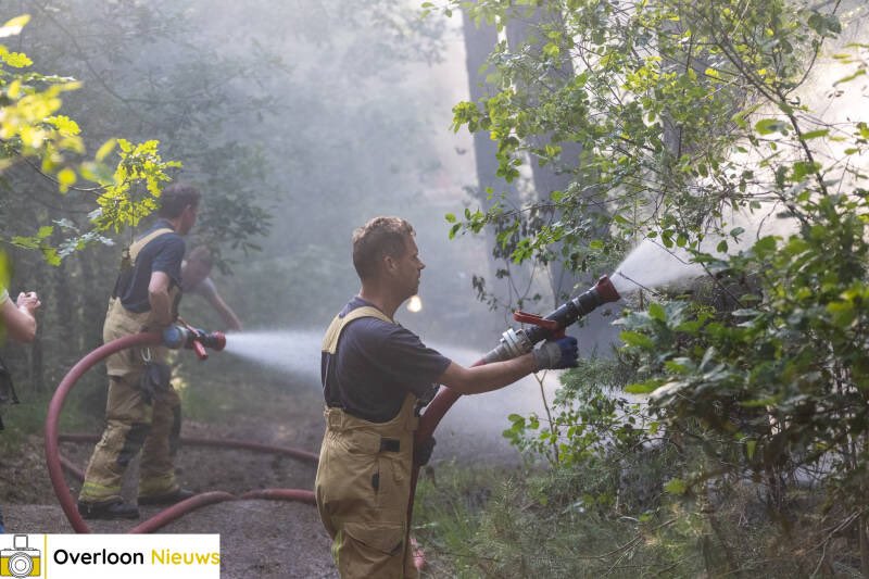 Zeer grote natuurbrand op grens Limburg en Noord-Brabant