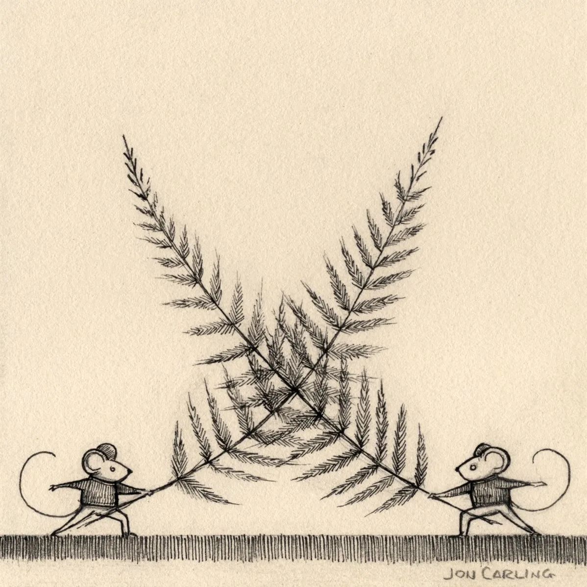 fern fencing