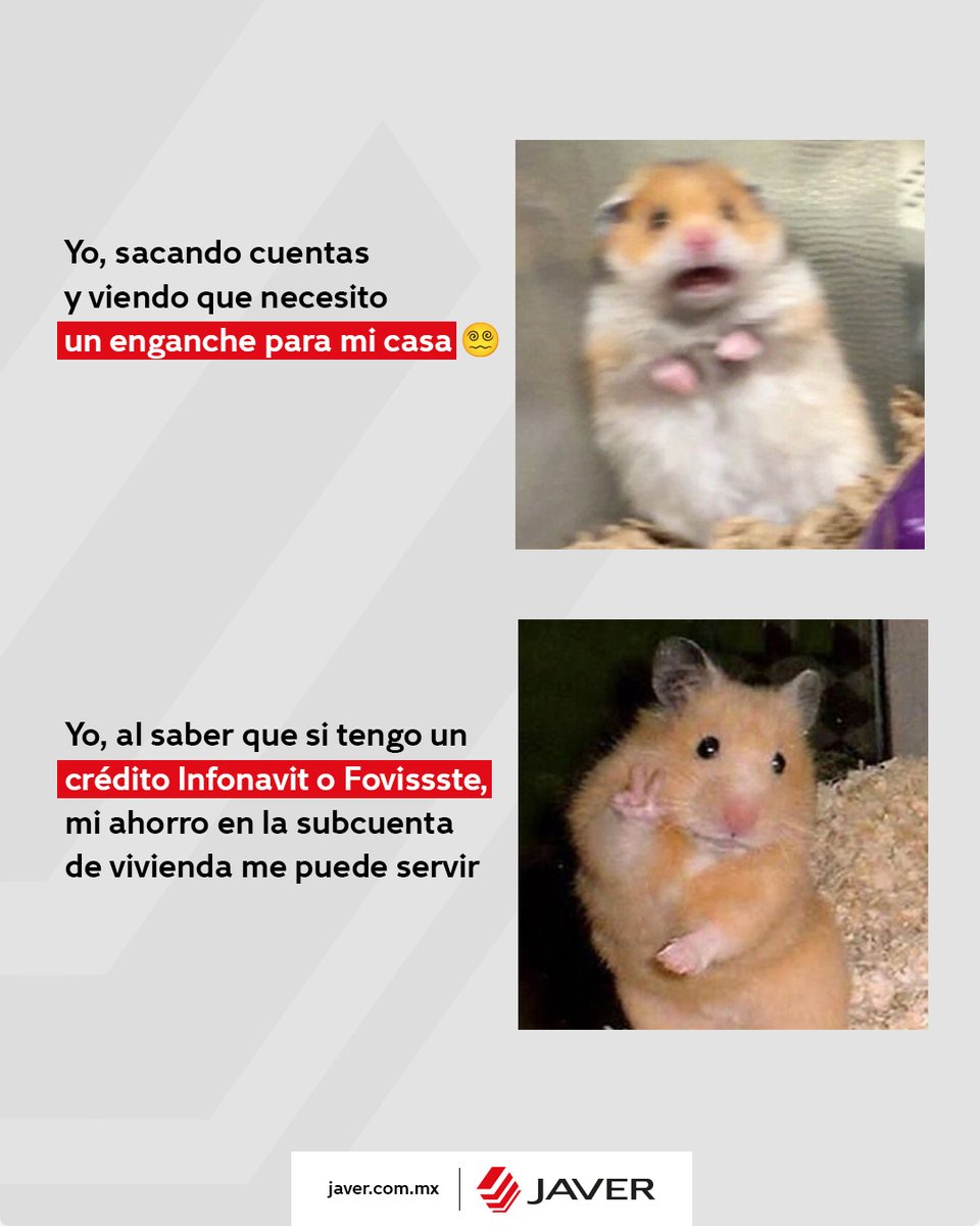 Javer tweet media
