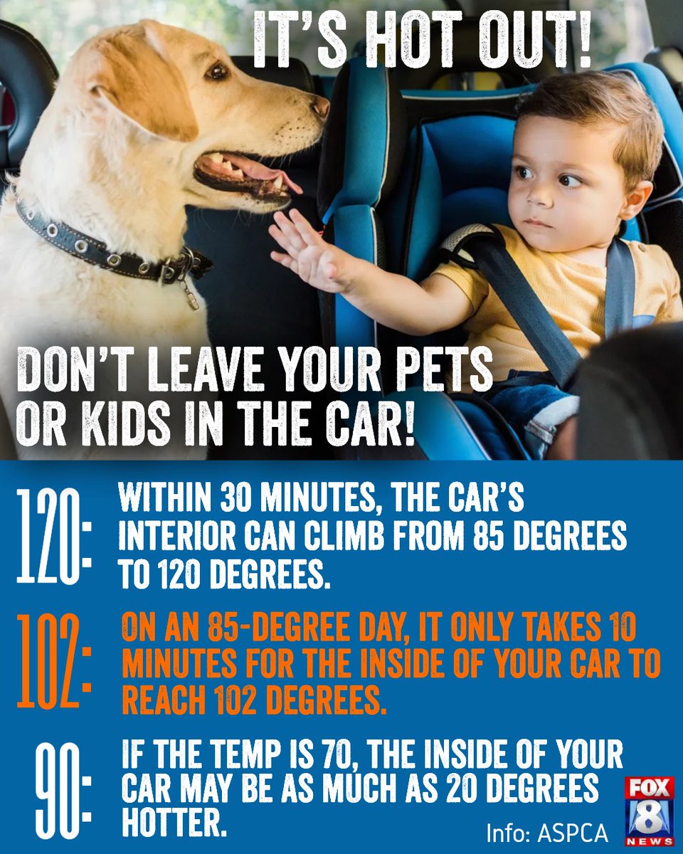 With this week's weather climbing to over 90 degrees, please remember don't leave children or dogs in a hot car! It is illegal and very dangerous.