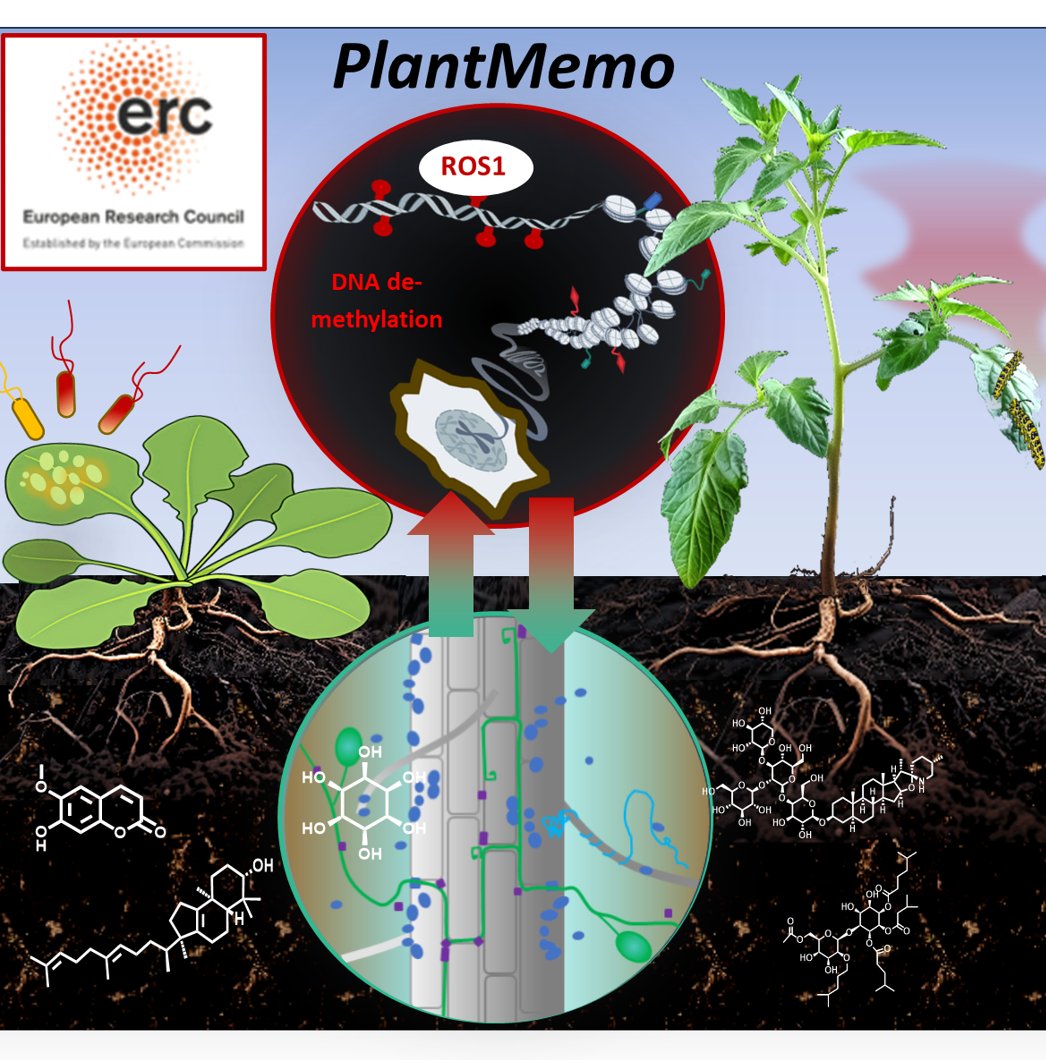 Prof. Jurriaan Ton (@jurriaanton) on Twitter photo Delighted and grateful to the European Research Council, its LS9 panel, and 10 reviewers for awarding me an ERC Advanced Grant! Excited to work with <a href="/utrechtpmi/">pmi@uu</a> on plant defence memory <a href="/PPS_UoS/">Plants, Photosynthesis and Soil</a> <a href="/sheffielduni/">The University of Sheffield</a> <a href="/ERC_Research/">European Research Council (ERC)</a> #ERCAdG #PlantScience #Epigenetics #Microbiome" Delighted and grateful to the European Research Council, its LS9 panel, and 10 reviewers for awarding me an ERC Advanced Grant! Excited to work with <a href="/utrechtpmi/">pmi@uu</a> on plant defence memory <a href="/PPS_UoS/">Plants, Photosynthesis and Soil</a> <a href="/sheffielduni/">The University of Sheffield</a> <a href="/ERC_Research/">European Research Council (ERC)</a> #ERCAdG #PlantScience #Epigenetics #Microbiome"