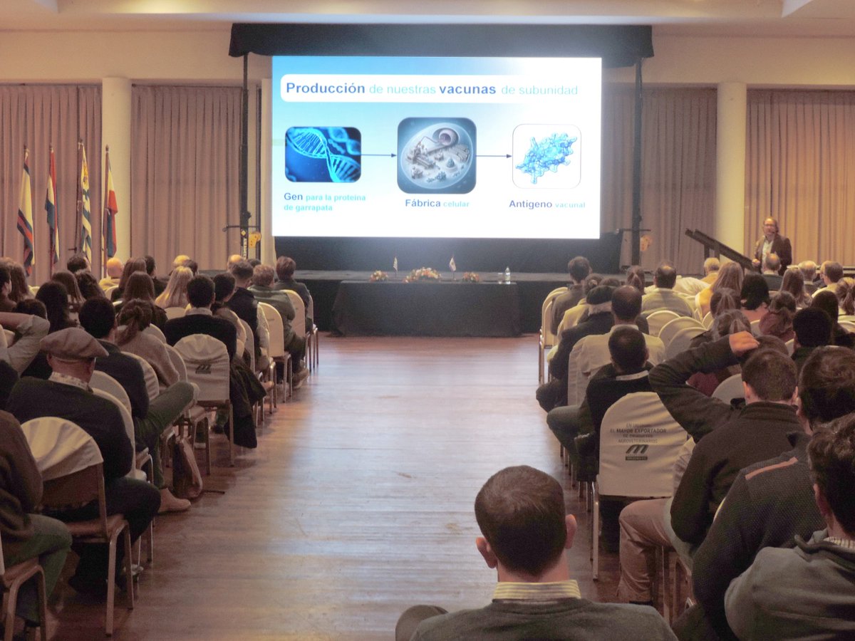 labplusuy's tweet image. 👏Agustín Correa, co-fundador de Scaffold Biotech, presentó en las Jornadas Uruguayas de Buiatría, en Paysandú.

El encuentro se realiza anualmente desde 1973. 

💉 Correa habló de la vacuna contra la garrapata que está desarrollando su start-up, impulsada por @labplusuy