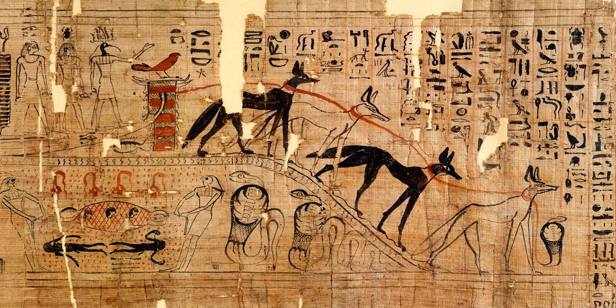 Vignette from the funerary papyrus of the scribe Djehutymes

In ancient Egypt, jackals and dogs were very common in the land between desert and urban areas, so they were associated with the world of necropolis and the dead. Specifically, their wandering among the tombs was