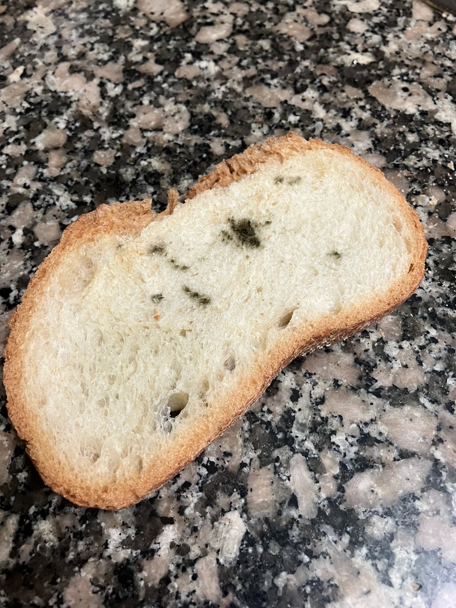 star2024's tweet image. Pa rodó tallat d&apos;un quart comprat dissabte passat al forn de tota vida. La barra de quart de *diumenge* seca com un roc. I som dimarts. És normal això? Com és possible? @DeForners #Tarragona