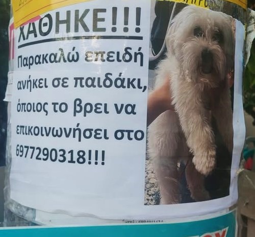 🆘🆘🆘🆘
ΧΑΘΗΚΕ, ΑΝΗΚΕΙ ΣΕ ΠΑΙΔΑΚΙ 
Π. ΦΑΛΗΡΟ
ΑΦΙΣΑ ΣΤΗΝ ΑΜΦΙΤΡΙΤΗΣ