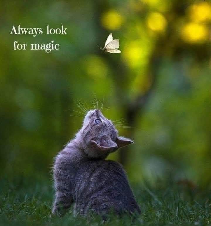 PositivitySaid's tweet photo. https://t.co/IHLy55Sl0i