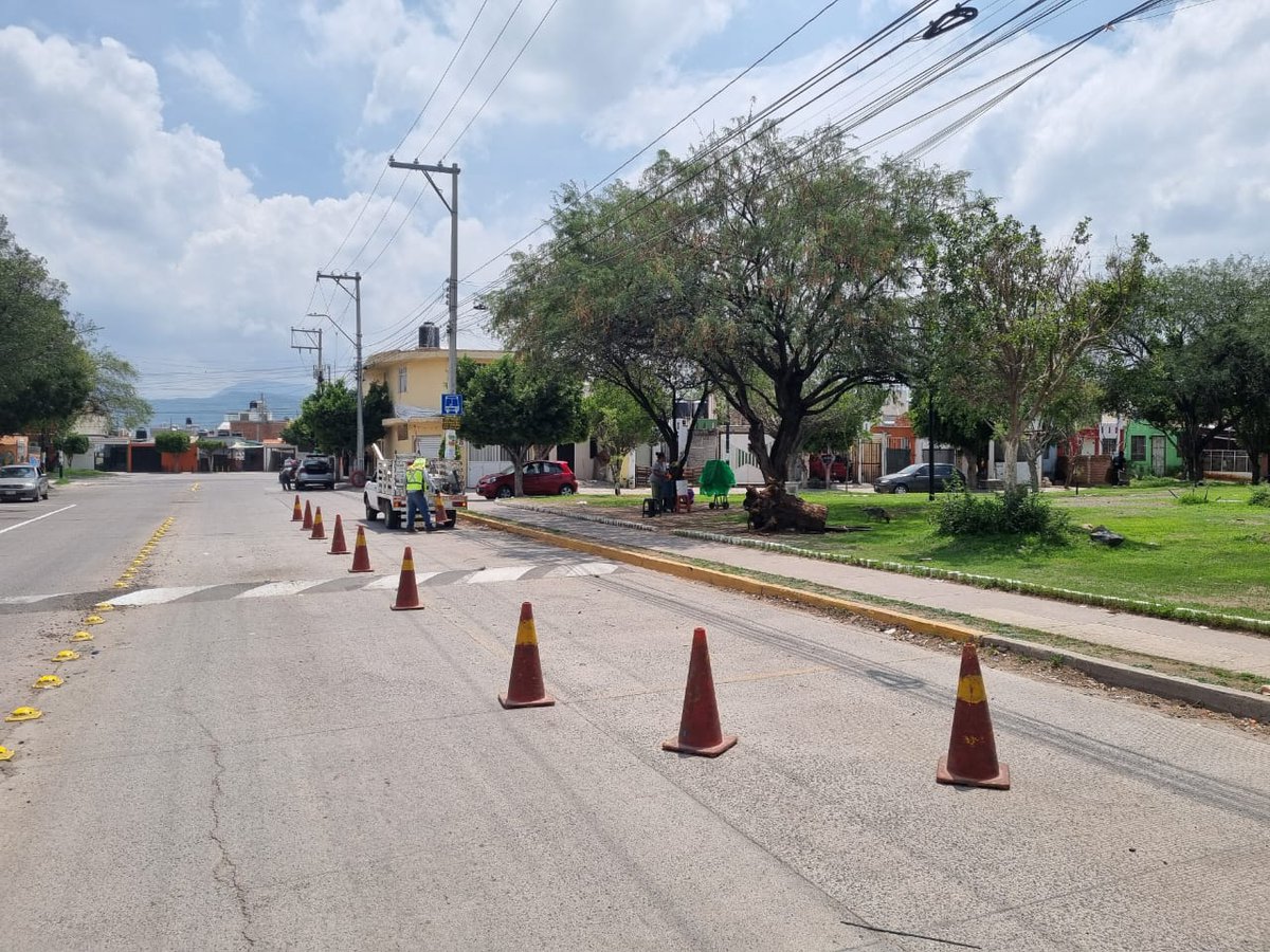 🔧🚏 Trabajamos 24/7 para brindarte un mejor servicio en el #SIT
Esta semana realizamos mantenimiento en  paradas oficiales de la zona, Paseos del Molino 🧹🛠️

✅ Limpieza
✅ Señáletica
✅ Pintura

☎️Para reportar paradas oficiales 477-100-85-03, 04 y 06