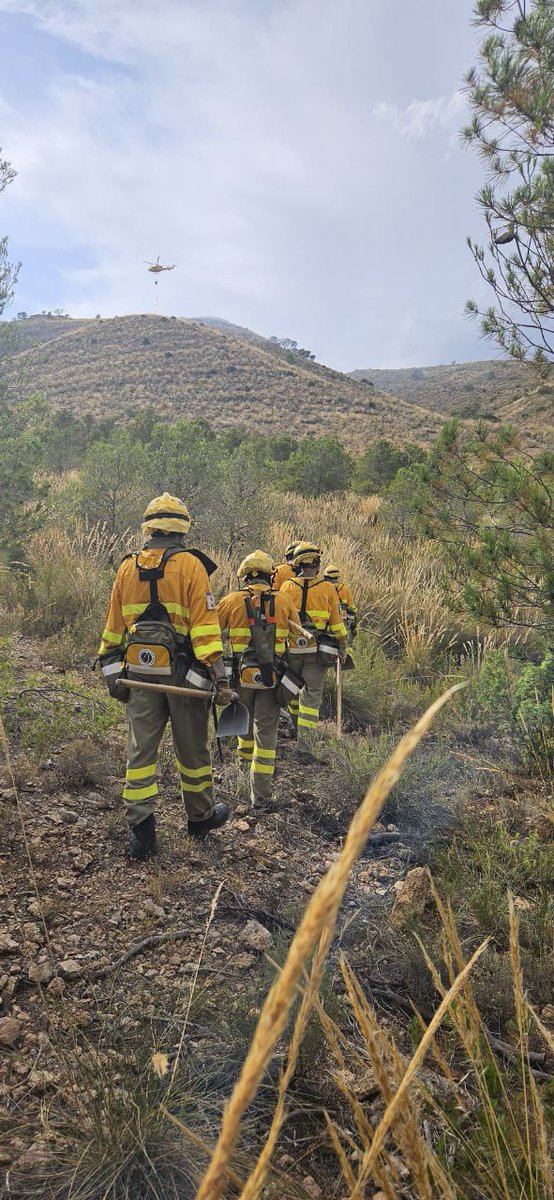 112 Región de Murcia (@112rmurcia) on Twitter photo Medios aéreos y terrestres del #PlanInfomur apagan conato de incendio forestal en #Jumilla
▶️noticias.112rmurcia.es/?p=10842
📸facilitadas por <a href="/aamm_murcia/">AM Región de Murcia</a> Medios aéreos y terrestres del #PlanInfomur apagan conato de incendio forestal en #Jumilla
▶️noticias.112rmurcia.es/?p=10842
📸facilitadas por <a href="/aamm_murcia/">AM Región de Murcia</a>