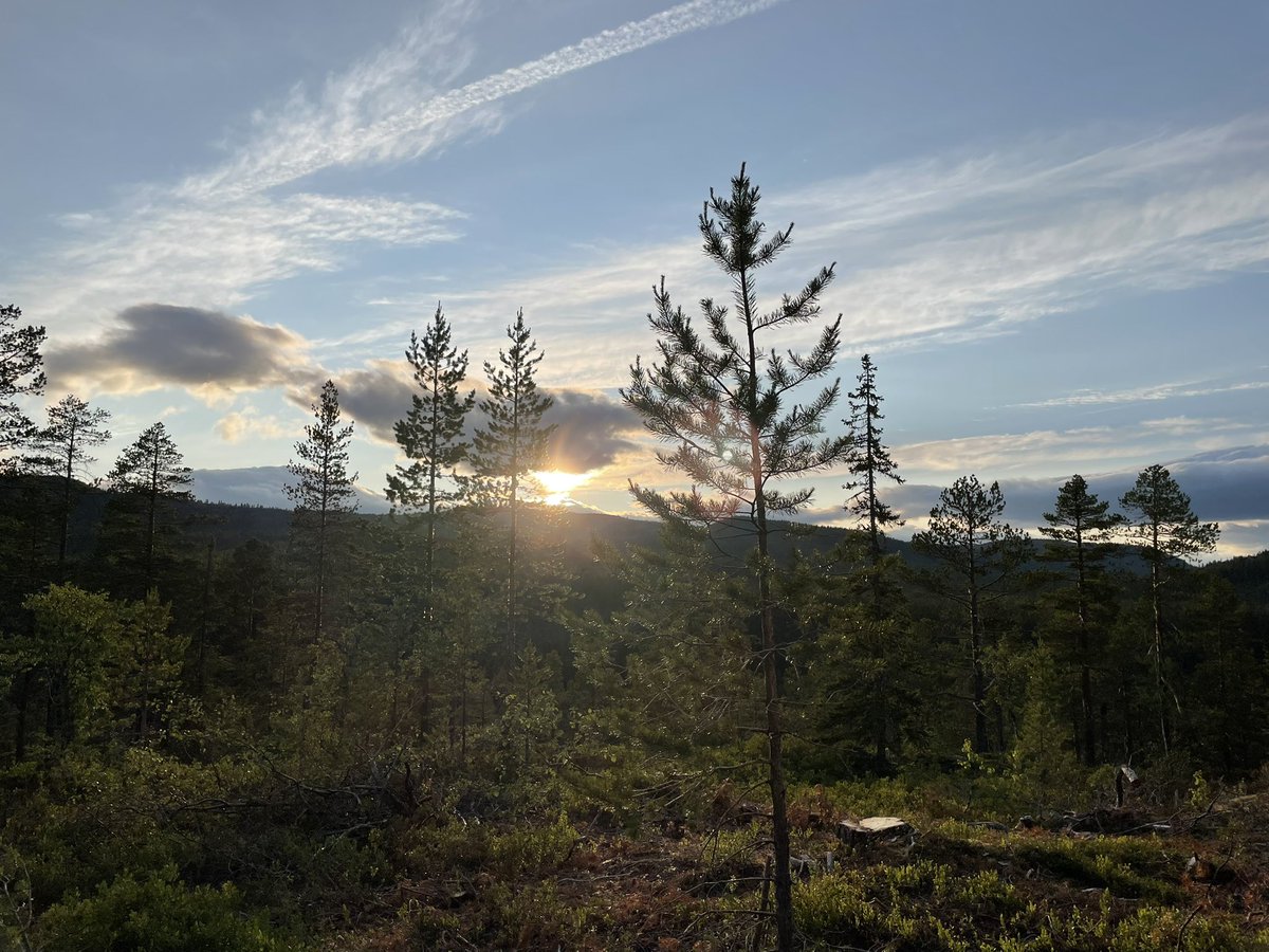 Evening. 😊🐝🦋💕🦊Enjoy yours