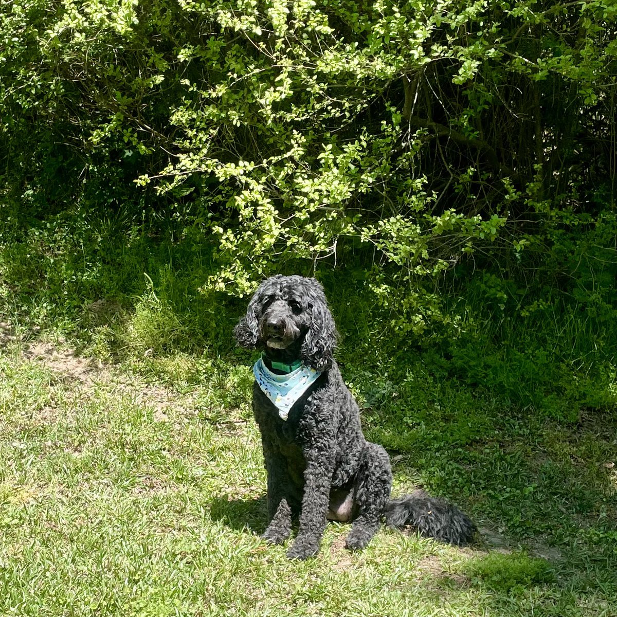 This is who runs this account.