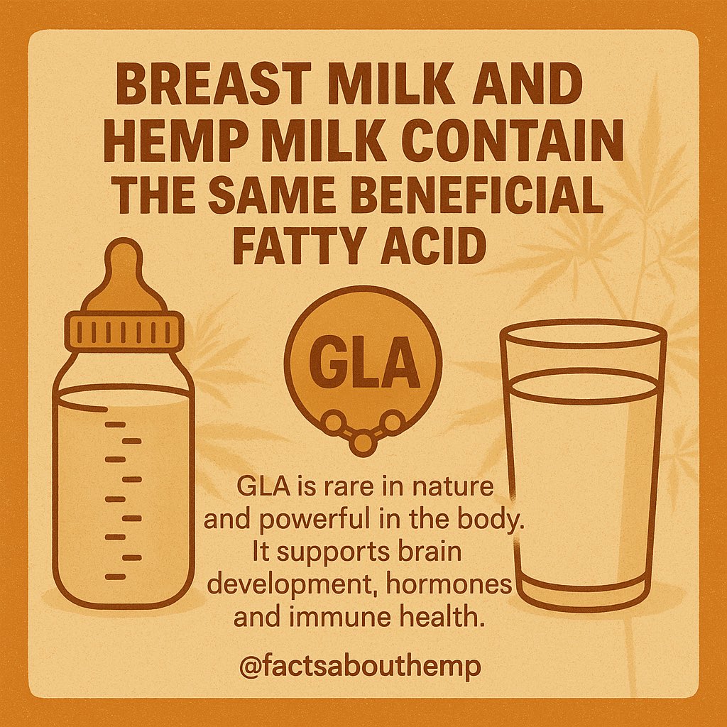 Hemp milk and breast milk contain the same rare beneficial fatty acid called GLA.

#hempmilk #mothernature #mother #nature #healthyrecipes #healthylifestyle #healthyliving #nutrition #plantbased #drink #milk #goodthing  #dairyfree