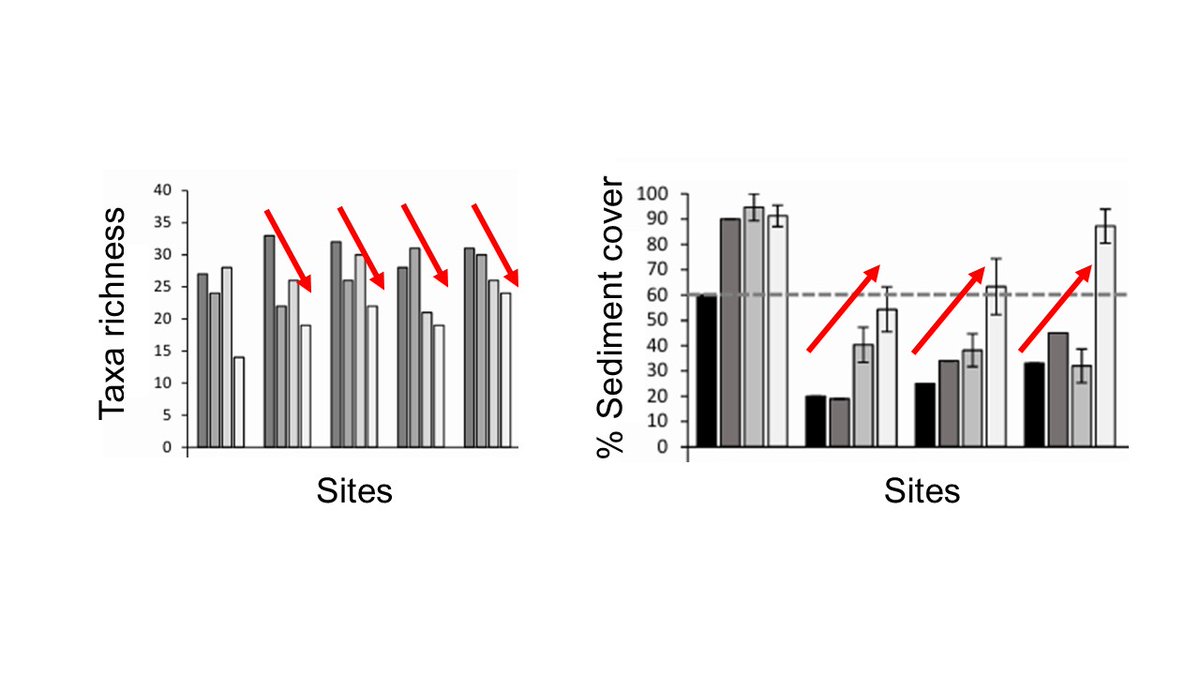 Jon S. Harding tweet media