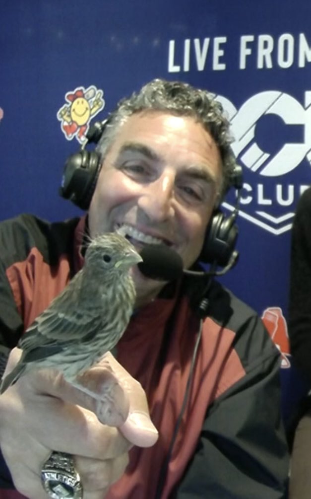 just a man and his wild bird