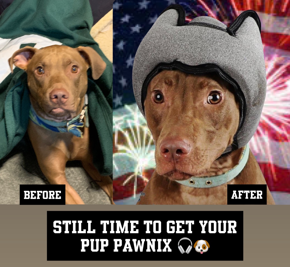 PawnixANC's tweet photo. 🎆🐶 There’s Still Time to Get Your Dog Ready for the 4th of July with PAWNIX! 🎧🇺🇸

Is your dog afraid of fireworks, thunderstorms, or loud neighborhood noises? The Fourth of July is one of the loudest nights of the year, but it doesn’t have to be the scariest for your pup. https://t.co/cGZTwQxst5