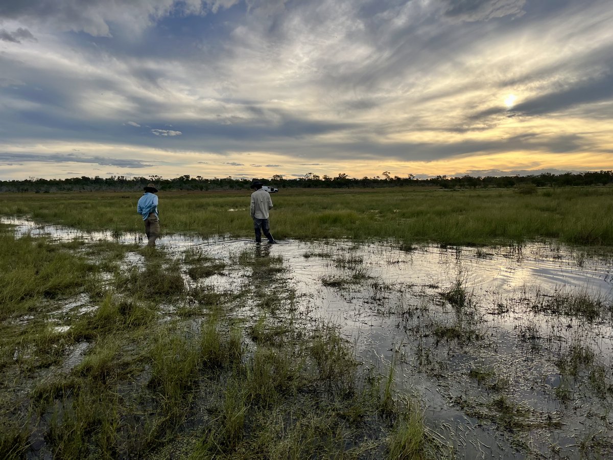 Ecosystem Science (@ces_unsw) on Twitter photo Check out our new blogs from recent <a href="/theCEWH/">Environmental Water</a> <a href="/FlowMERprogram/">The Flow-MER Program</a> #waterbird field trips in the #MacquarieMarshes bit.ly/3ZDMPtf and Lower #Balonne bit.ly/3SW3qF2 <a href="/unswbees/">UNSW Biological, Earth and Environmental Sciences</a> Check out our new blogs from recent <a href="/theCEWH/">Environmental Water</a> <a href="/FlowMERprogram/">The Flow-MER Program</a> #waterbird field trips in the #MacquarieMarshes bit.ly/3ZDMPtf and Lower #Balonne bit.ly/3SW3qF2 <a href="/unswbees/">UNSW Biological, Earth and Environmental Sciences</a>