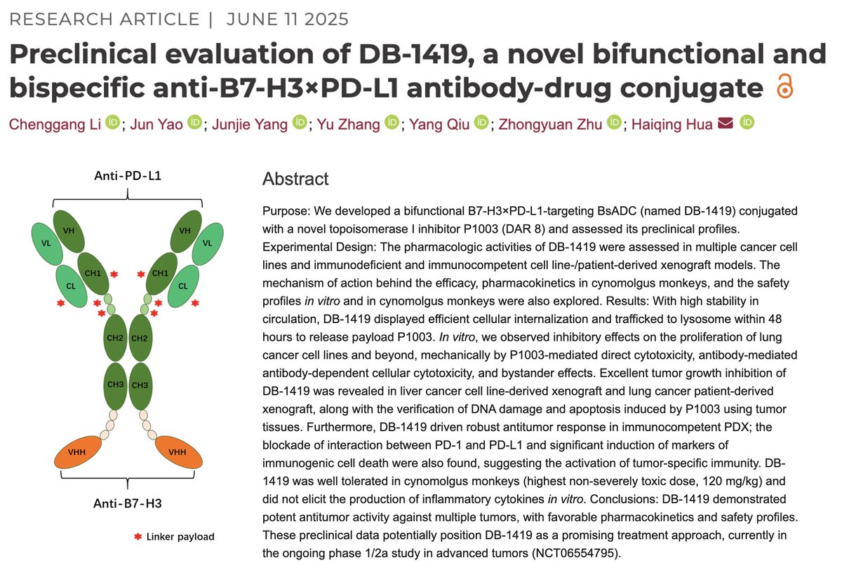 Raffaele Colombo (@raffcolo) on Twitter photo Preclinical development of DB-1419 published on <a href="/CCR_AACR/">Clinical Cancer Research</a>!
DB-1419 is a bispecific ADC (bsADC)
🎯 = B7H3 x PDL1
💊 = P1003 (TOPO1i)
#️⃣ = DAR8
aacrjournals.org/clincancerres/…
A mini thread 🧵 Preclinical development of DB-1419 published on <a href="/CCR_AACR/">Clinical Cancer Research</a>!
DB-1419 is a bispecific ADC (bsADC)
🎯 = B7H3 x PDL1
💊 = P1003 (TOPO1i)
#️⃣ = DAR8
aacrjournals.org/clincancerres/…
A mini thread 🧵