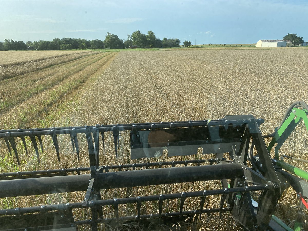 Jeff Wright tweet media