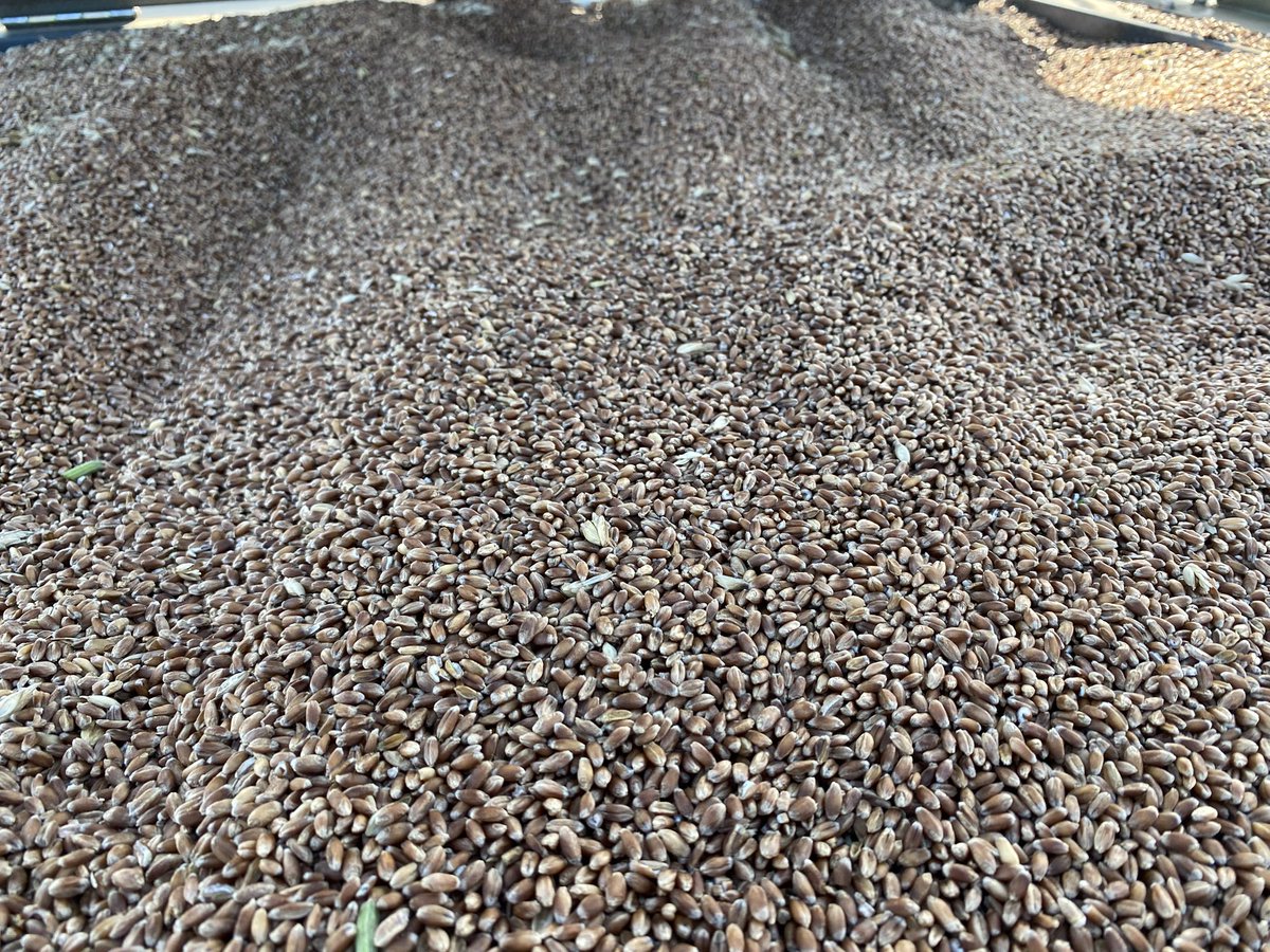 Jeff Wright tweet media