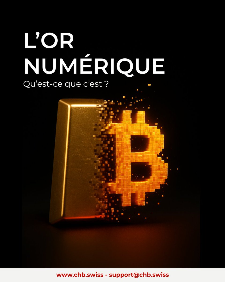 Bitcoin : la nouvelle ruée vers l’or… numérique.

Bitcoin est-il déjà, selon vous, une réserve de valeur comparable à l’or ? Ou lui manque-t-il encore quelque chose ? Partagez vos réflexions en laissant un commentaire ci-dessous ! ⬇️
