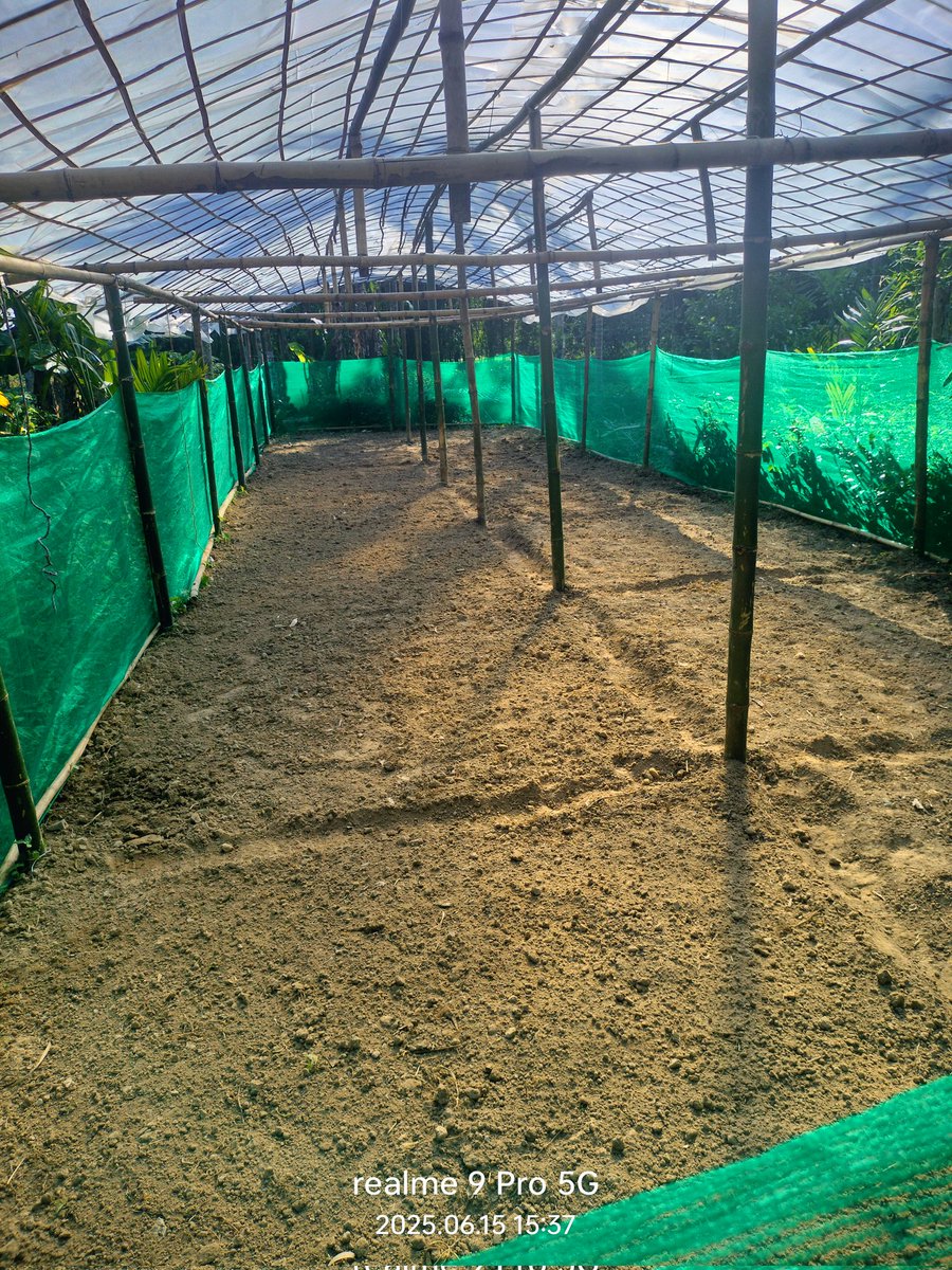 | ETHGas ⛽ tweet media