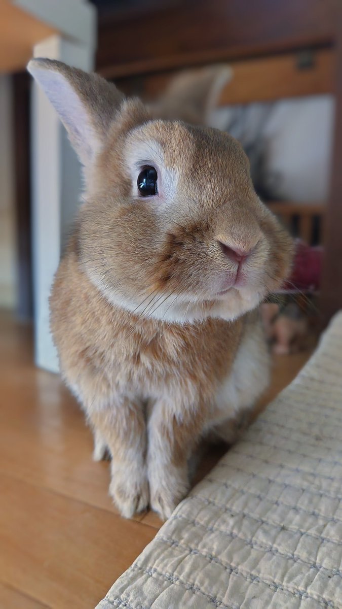 おはよう
モドちゃん
今日もみんなと涼しくね🫧🫧
