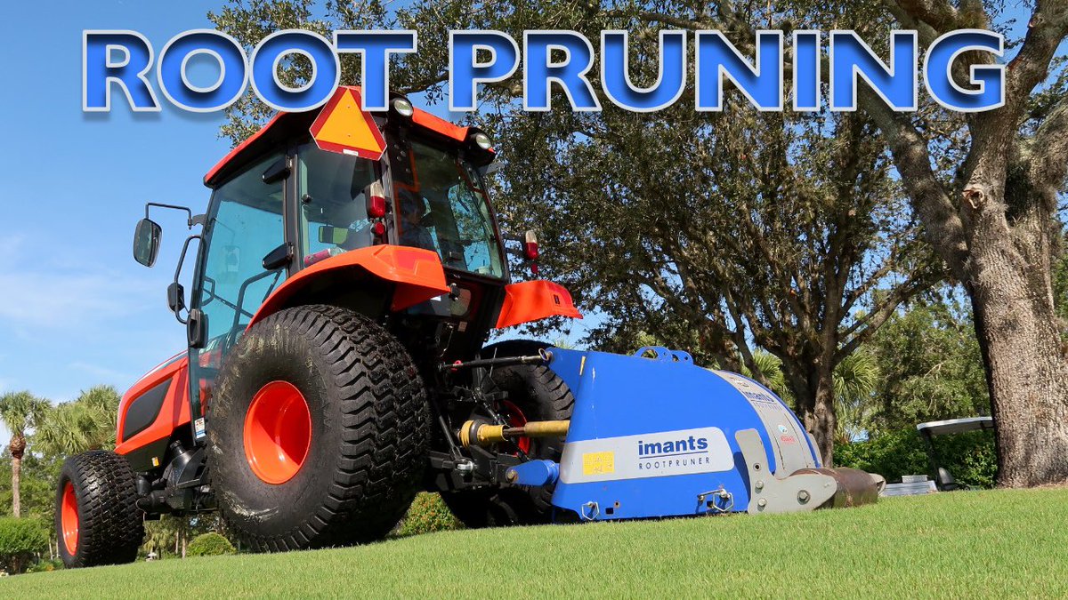 Gabe Gallo (@galloturf) on Twitter photo Talon OPENS ⛳️ Just had to do a little ROOT PRUN first! <a href="/coreykimball345/">EliteTurf Solutions/The Firm/Nu-Green by Corey</a> <a href="/EGCSAHome/">Everglades GCSA</a> <a href="/DogsOfTurf/">Dogs Of Turf</a>
👇Watch Week-4 update👇
youtu.be/un4e5VKucNw?si… Talon OPENS ⛳️ Just had to do a little ROOT PRUN first! <a href="/coreykimball345/">EliteTurf Solutions/The Firm/Nu-Green by Corey</a> <a href="/EGCSAHome/">Everglades GCSA</a> <a href="/DogsOfTurf/">Dogs Of Turf</a>
👇Watch Week-4 update👇
youtu.be/un4e5VKucNw?si…
