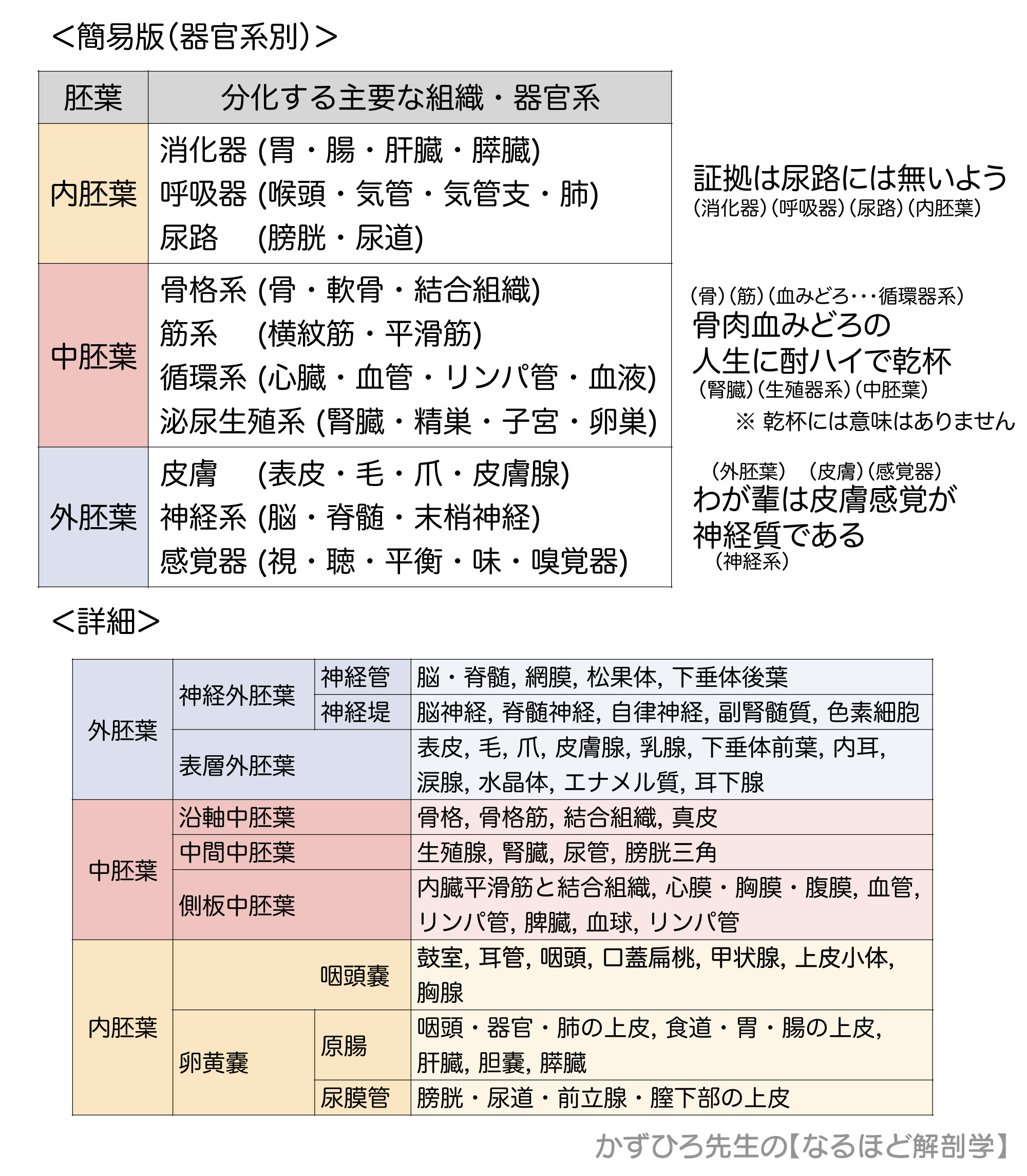 黒澤一弘（かずひろ）解剖学IT教育・指圧師・ラダック on X: 