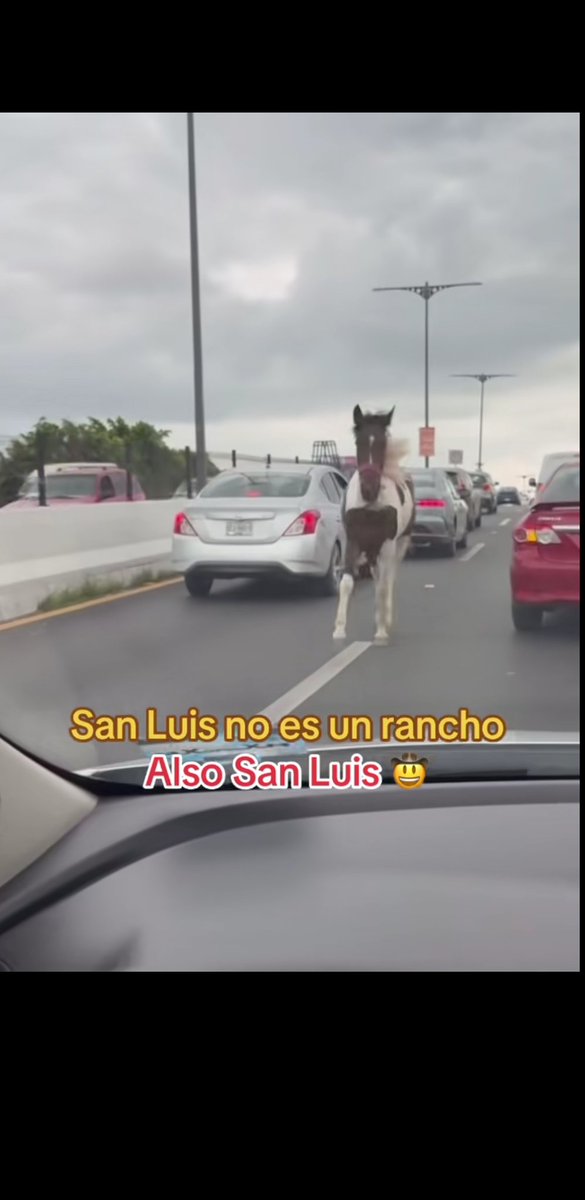 Out of Context SLP (@slpoutofcontext) on Twitter photo 