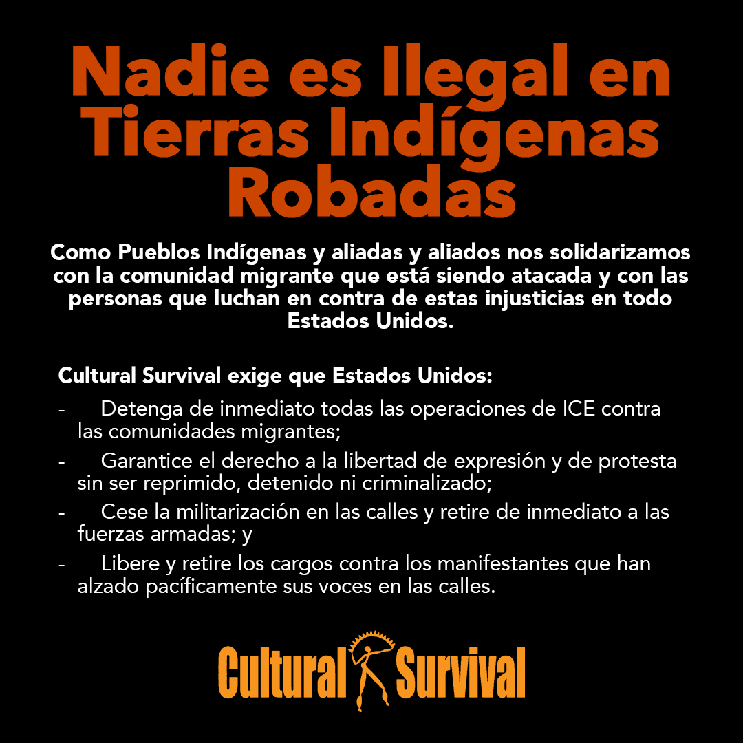 Lo que estamos presenciando hoy es una nueva limpieza étnica mediante redadas en las que el presidente Donald Trump, el Servicio de Inmigración y Control de Aduanas de EE. UU. (ICE), y las fuerzas armadas.

Lee nuestra declaración completa: culturalsurvival.org/es/news/nadie-…