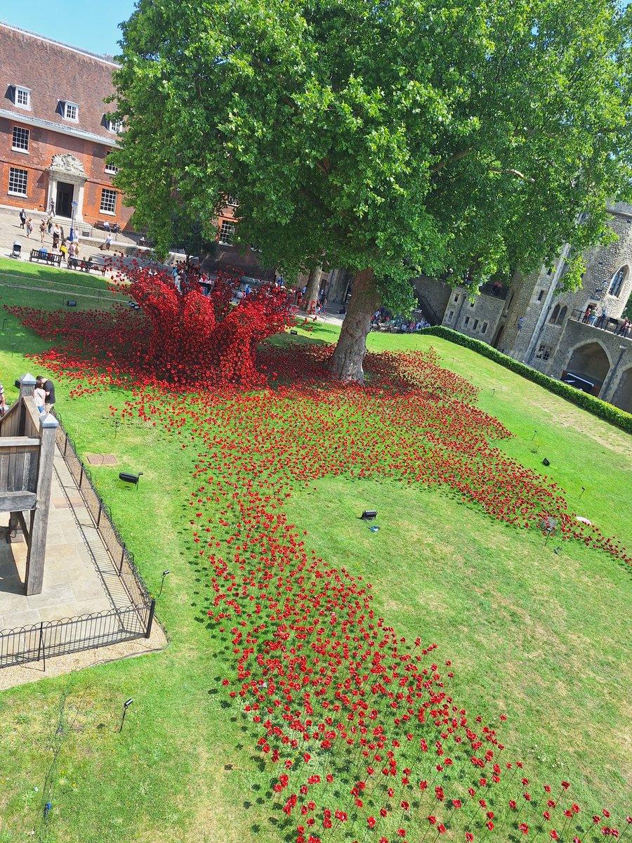 RichardRawcliff's tweet image. Poppies back at the @TowerOfLondon well worth a visit, especially on a sunny day 😃