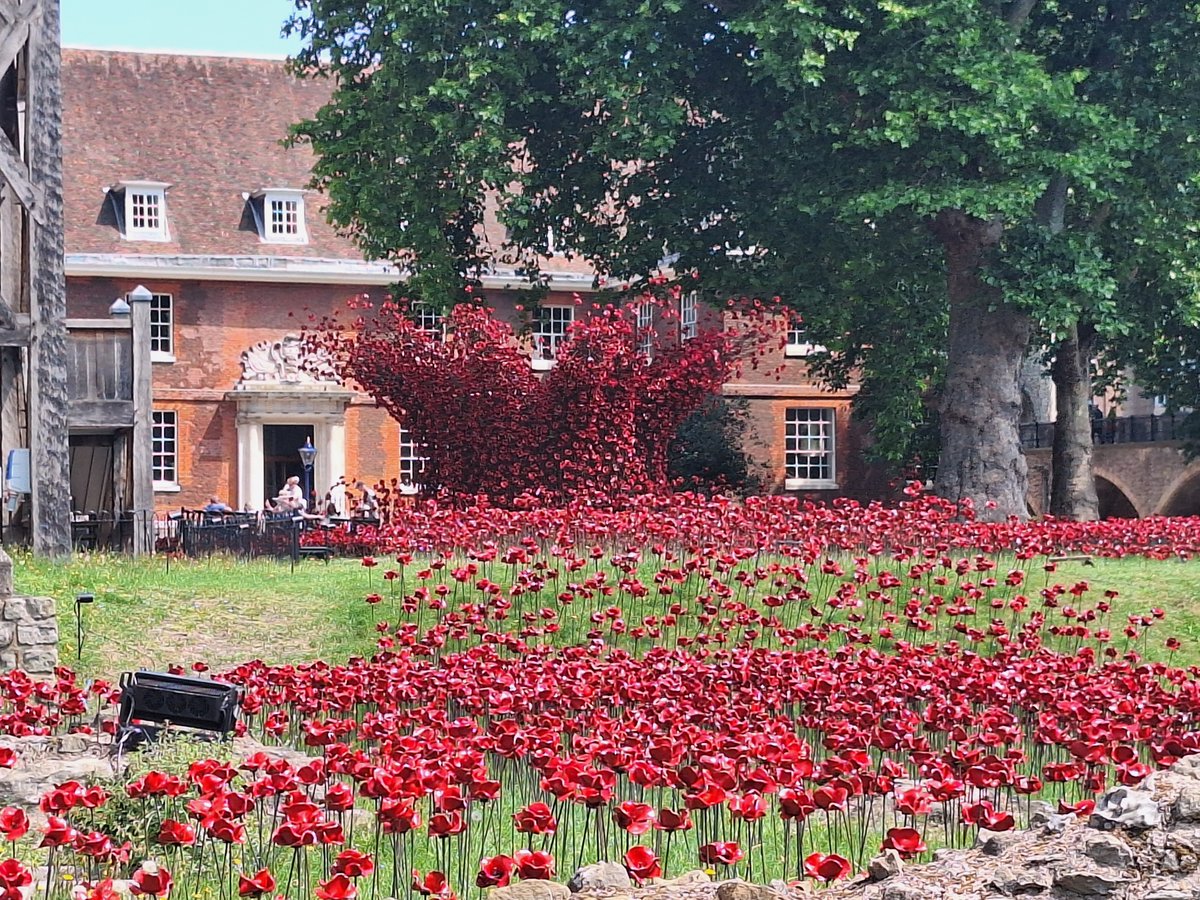 RichardRawcliff's tweet image. Poppies back at the @TowerOfLondon well worth a visit, especially on a sunny day 😃
