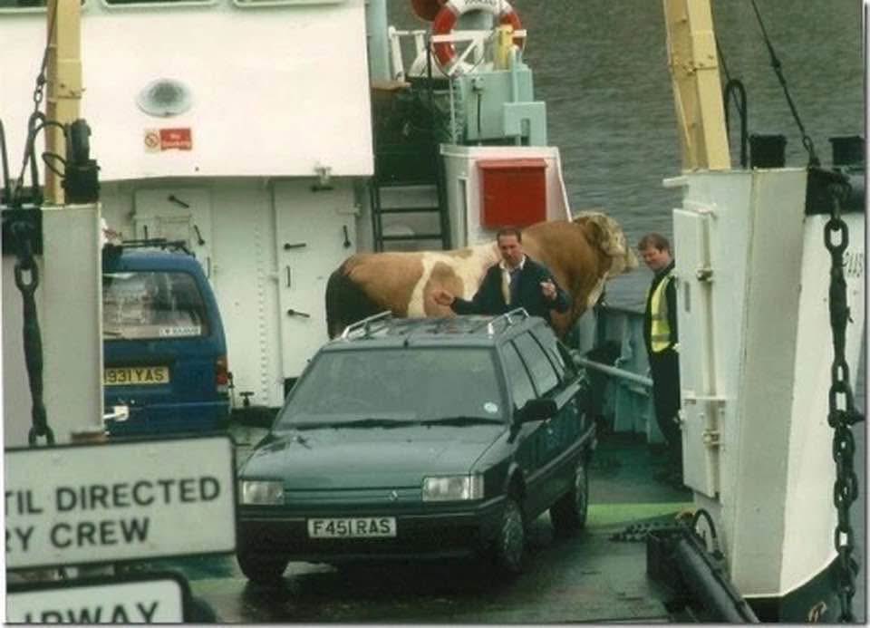 Calum 🏴󠁧󠁢󠁳󠁣󠁴󠁿 ⛐ tweet media