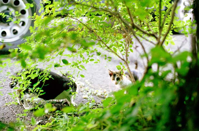 雨の日の釣り師-5380
⇒ ameblo.jp/xml-xsl/entry-… #アメブロ <a href="/ameba_official/">Ameba Topics</a>より