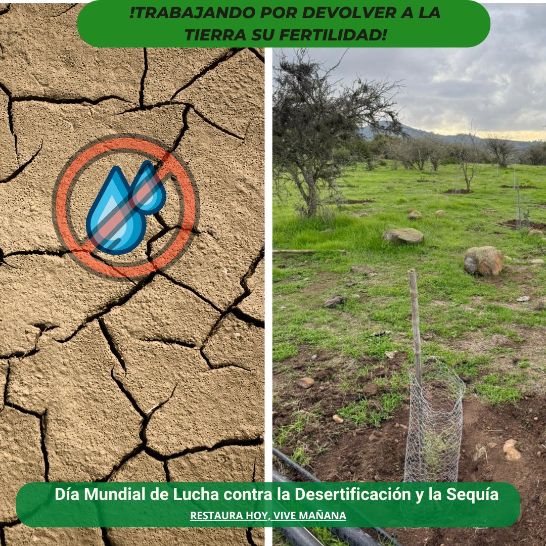 biocys_cl's tweet photo. ¡Únete a la lucha contra la desertificación! 🌱 Recibe plantas nativas con el Programa de Donación 2025 de Biocys. Postula hasta el 31/08 en https://t.co/42RRmgPHUb. #RestauraciónEcológica #Biocys
https://t.co/0TWoIdSSZc https://t.co/Q4AhVUjmOH