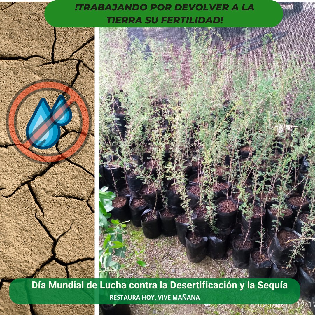 biocys_cl's tweet photo. ¡Únete a la lucha contra la desertificación! 🌱 Recibe plantas nativas con el Programa de Donación 2025 de Biocys. Postula hasta el 31/08 en https://t.co/42RRmgPHUb. #RestauraciónEcológica #Biocys
https://t.co/0TWoIdSSZc https://t.co/Q4AhVUjmOH