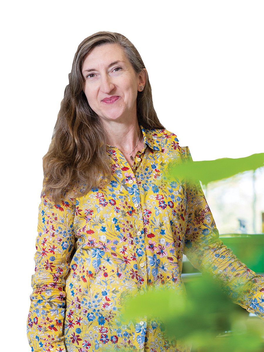 BDI_UNT's tweet image. BDI sends a big congratulations to long time member, Dr. Roisin McGarry on her Assistant Professorship in Plant Developmental Biology for the Biological Sciences Department of the College of Science. Welcome to UNT faculty! @UNTScience @UNTFacSuccess @UNTChemistry @UNTResearch