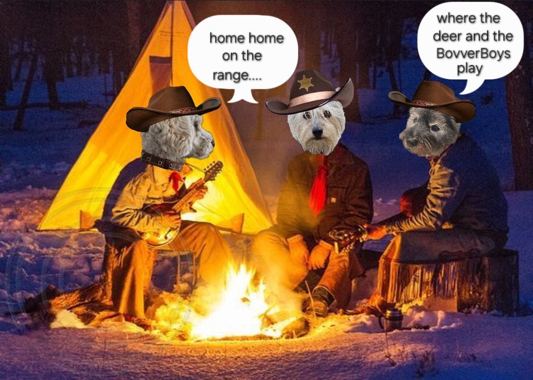 JACK BovverBoy (@jennystape) on Twitter photo Come sing round me camp fire wiv me boys!!!
There be plenty of beans and sossiges for yer trouble.....
<a href="/Norman_Dillon1/">Norman the Bandit Bovver๐</a> #BovverBoys #BovverBoysForever #ZSHQ #ZSWesternMonth Come sing round me camp fire wiv me boys!!!
There be plenty of beans and sossiges for yer trouble.....
<a href="/Norman_Dillon1/">Norman the Bandit Bovver๐</a> #BovverBoys #BovverBoysForever #ZSHQ #ZSWesternMonth