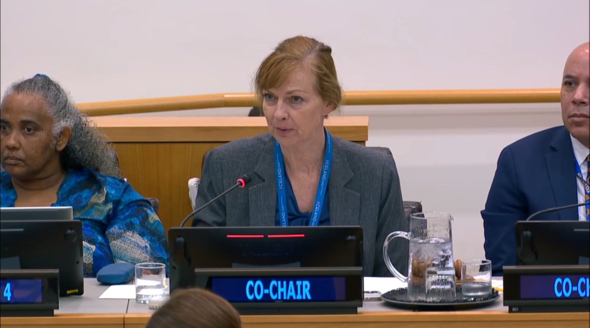 Iceland at UN ๐ฎ๐ธ (@icelandun) on Twitter photo Iceland ๐ฎ๐ธ co-chairs , with #Barbados ๐ง๐ง , this yearโs UN ๐บ๐ณ Open-ended Informal Consultative Process on Oceans and the Law of the Sea ๐ This yearโs theme is capacity building and transfer of technology ๐ค <a href="/undoalos/">Division for Ocean Affairs and the Law of the Sea</a> #ocean #diplomacy Iceland ๐ฎ๐ธ co-chairs , with #Barbados ๐ง๐ง , this yearโs UN ๐บ๐ณ Open-ended Informal Consultative Process on Oceans and the Law of the Sea ๐ This yearโs theme is capacity building and transfer of technology ๐ค <a href="/undoalos/">Division for Ocean Affairs and the Law of the Sea</a> #ocean #diplomacy