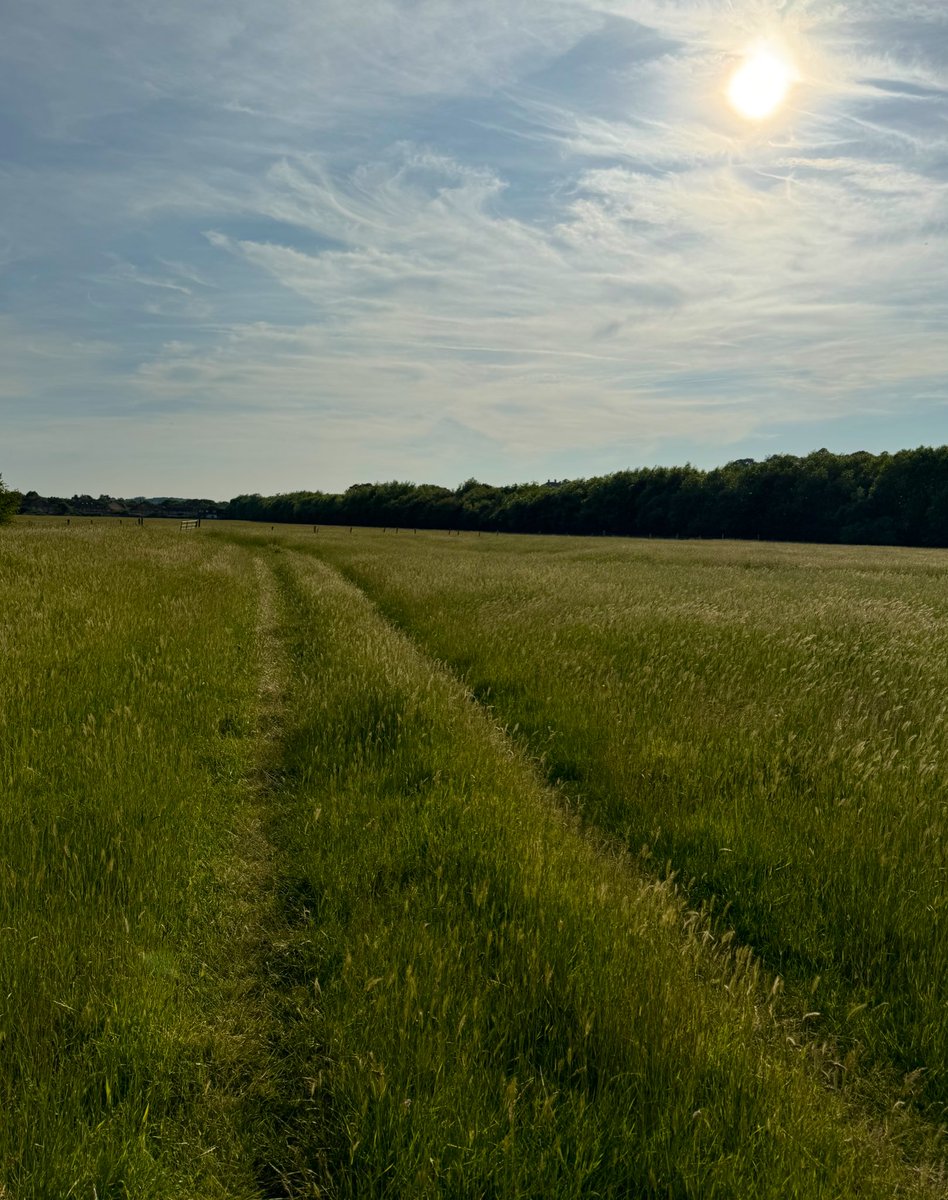 APCAFC's tweet photo. Appledore to Rye

#GoingAroundtheUKCoastAgain 
Day 146
SIDE PROJECT 
#RoyalMilitaryCanalPath 
#SaxonShoreWay
#SussexBorderPath https://t.co/vgVA6c5AAQ