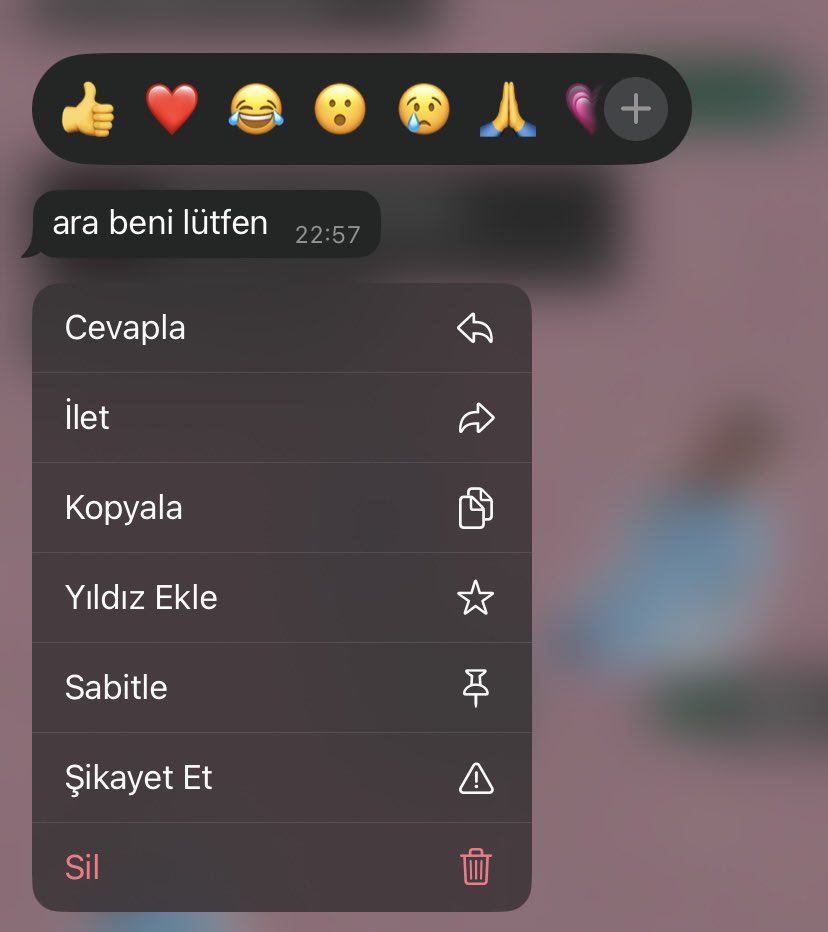 telefonu sürekli rahatsız etmeyinde kullanan o kisi benim