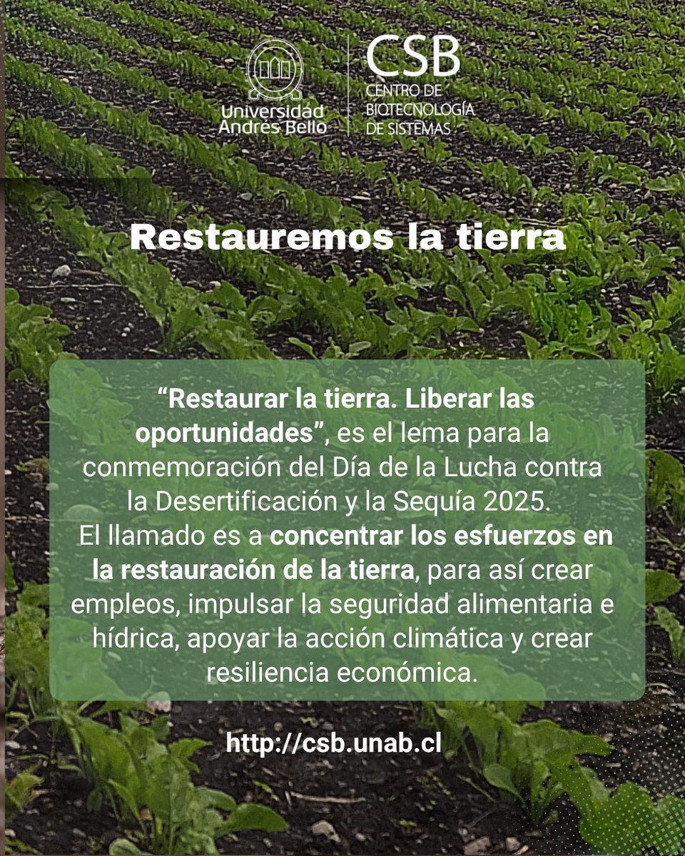 CSB_UNAB's tweet image. ☀️ Este Día Mundial de la Lucha contra la Desertificación y la Sequía nos recuerda la importancia de cuidar los suelos para contrarrestar los efectos del cambio climático y garantizar la seguridad alimentaria.
🖥️ Conoce cómo lo hace el Programa agrosimbiosis.cl/lineas-de-id/o…